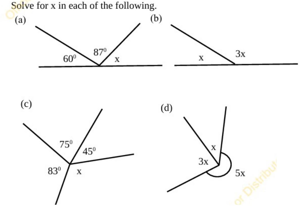 Angles Exercise