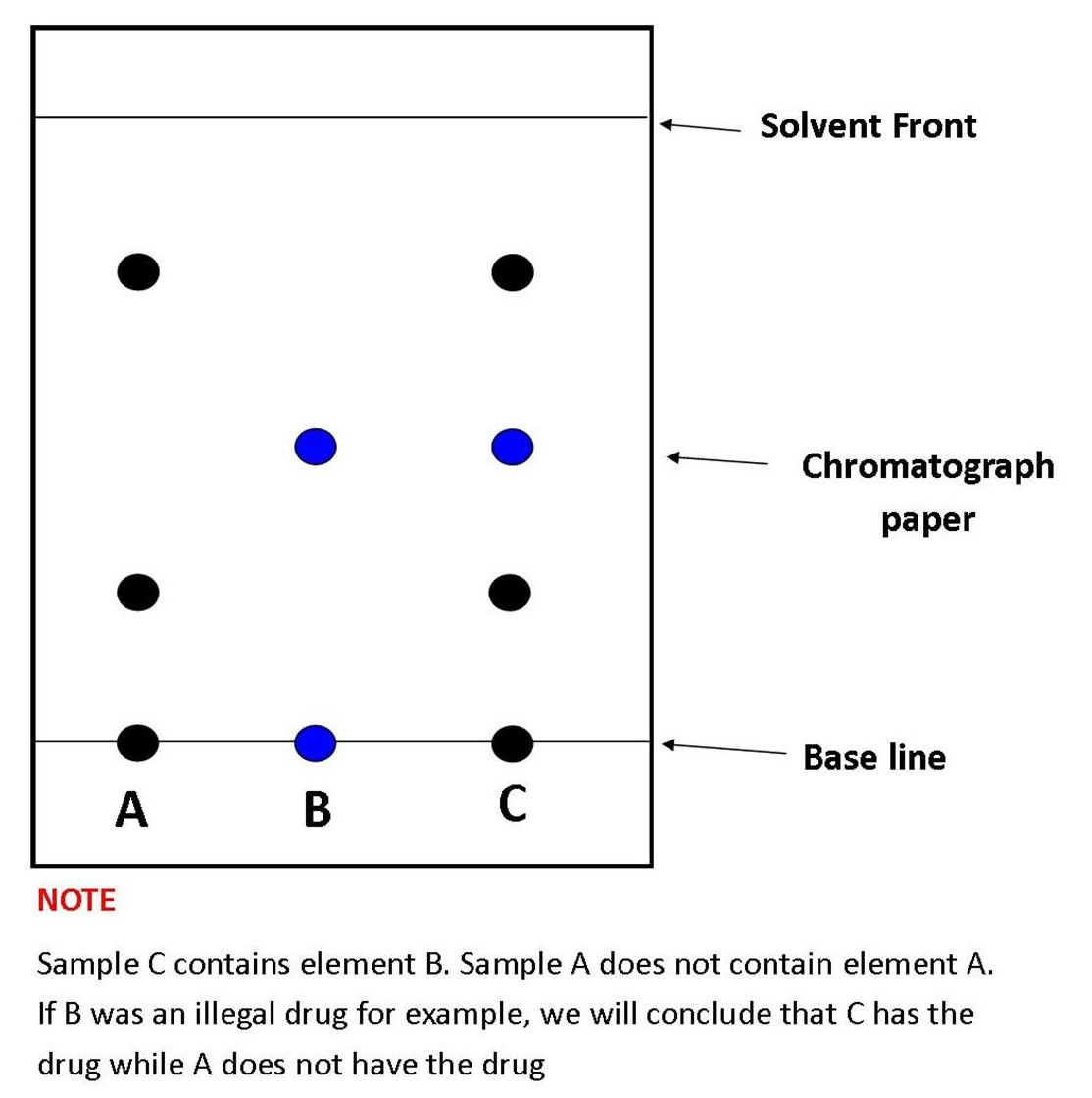 Paper Chromatography Diagram