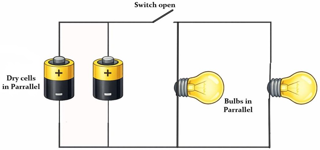 Parallel Arrangement of Bulbs and Cells