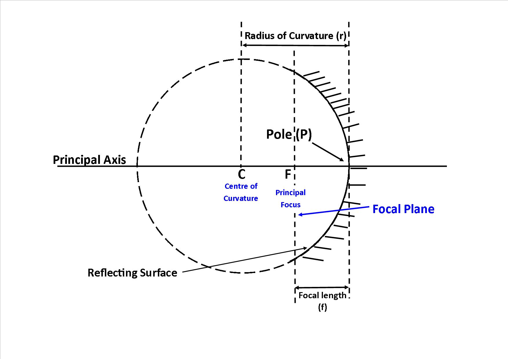 Curved Mirrors: Types, Ray Diagrams & Applications - UBRIGHT MINDS ACADEMY